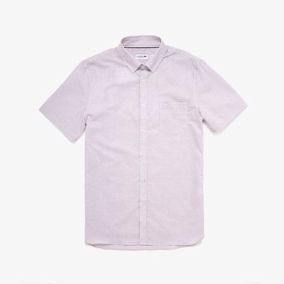 Camisas Lacoste Regular- Fit Checkered Algodon Hombre Blancos Rosas | 48JUXGPTH